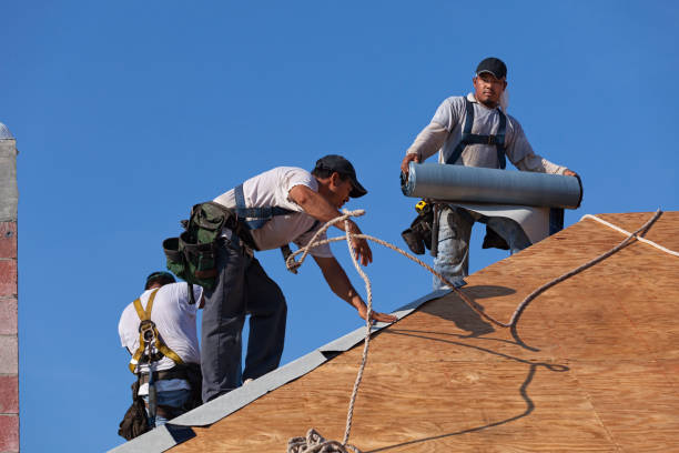 Best Shingle Roofing Installation  in Memphis, FL