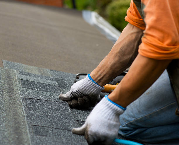 Quick and Trustworthy Emergency Roof Repair Services in Memphis, FL